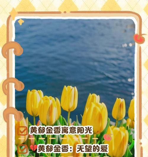 郁金香莫林花语是什么？如何解读其深层含义？