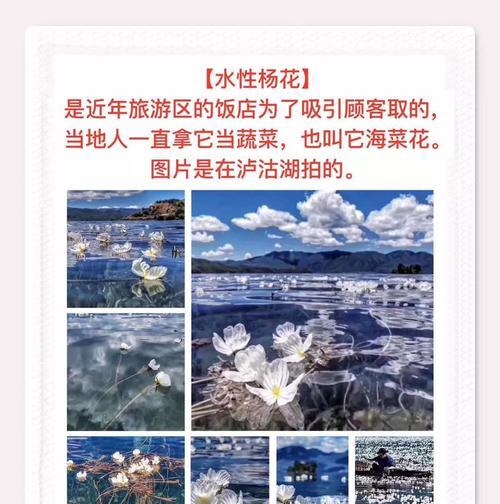 花语花半创始人是谁？他们的理念是什么？