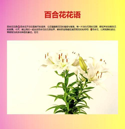 百合花的隐藏花语是什么？它有哪些不为人知的含义？