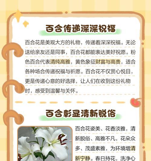 百合花的隐藏花语是什么？它有哪些不为人知的含义？