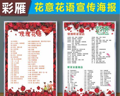 满天星的花语花意是什么？它象征着什么？