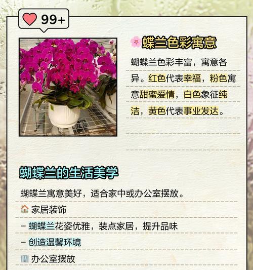 条状蝴蝶兰的花语是什么？它有何特别含义？