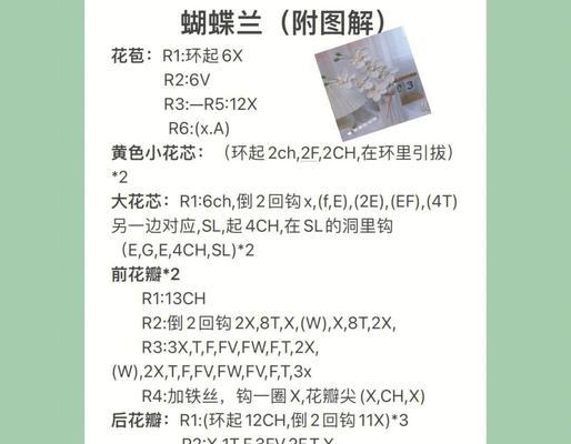 条状蝴蝶兰的花语是什么？它有何特别含义？