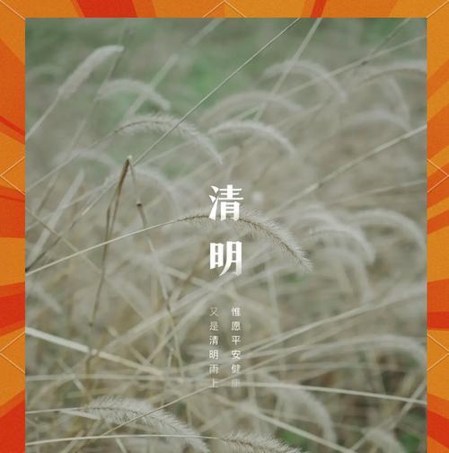 油菜花的花语是什么？为什么油菜花象征着希望？