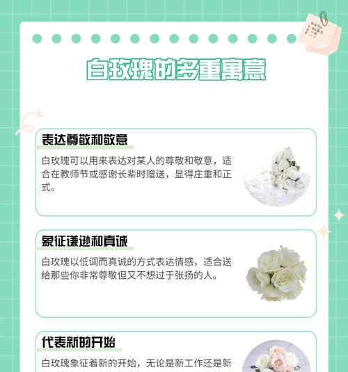 7朵白玫瑰的花语是什么？它代表什么意义？
