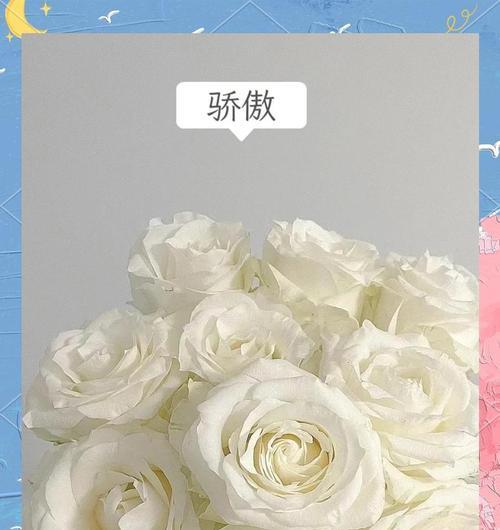 7朵白玫瑰的花语是什么？它代表什么意义？
