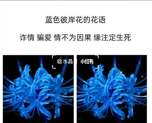 曼珠沙华花语有哪些含义？