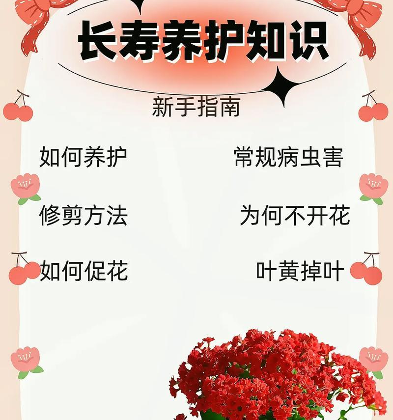 长寿花叶子脱落的原因是什么？