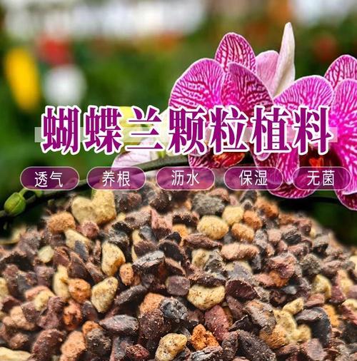 盆栽蝴蝶兰应该使用哪种土壤？