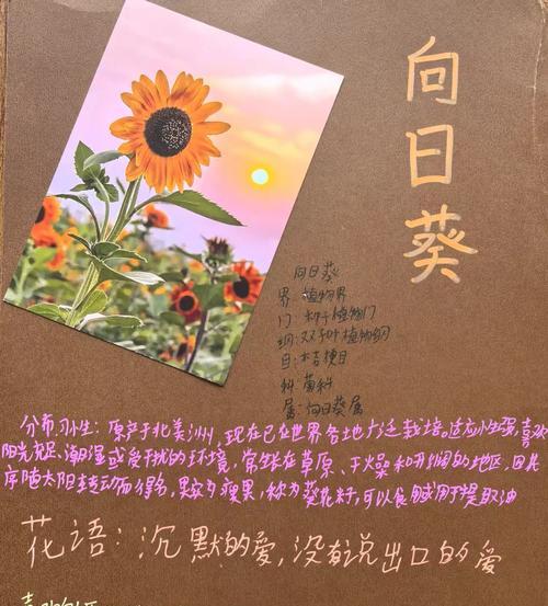 花卉具体指的是什么？花卉的定义和分类是什么？