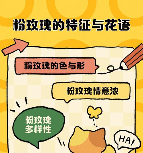 粉玫瑰品种有哪些？它们的花语是什么？
