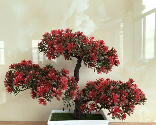 盘景植物有哪些品种？如何打造完美的盘景品种？