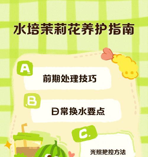家庭水培植物养护技巧有哪些？