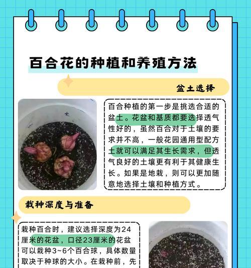 花盆换土的正确步骤是什么？如何选择适合的土壤？