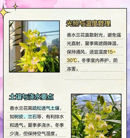 室内如何养兰花？兰花的室内养殖方法是什么？