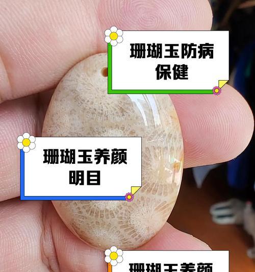 玉珊瑚盆栽养护要点有哪些？