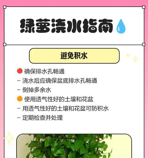 绿萝根太多了怎么回事？如何处理多余的根系？