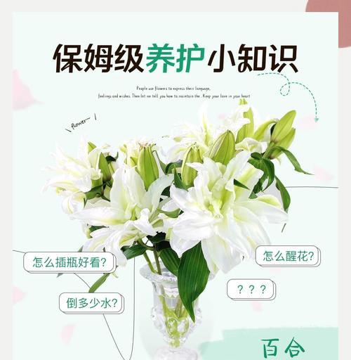 百合花开败后的处理步骤是什么？