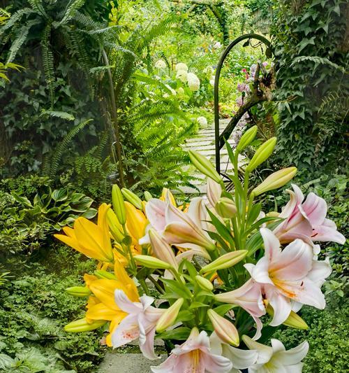 百合花开败后的处理步骤是什么？