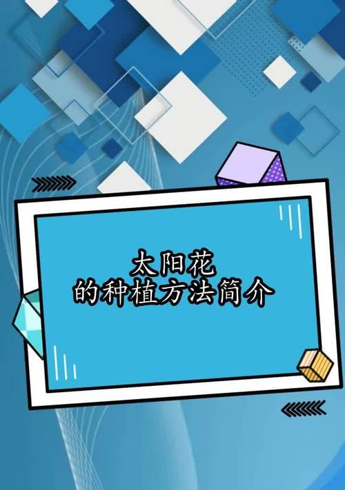 太阳花如何播种？播种太阳花的步骤是什么？