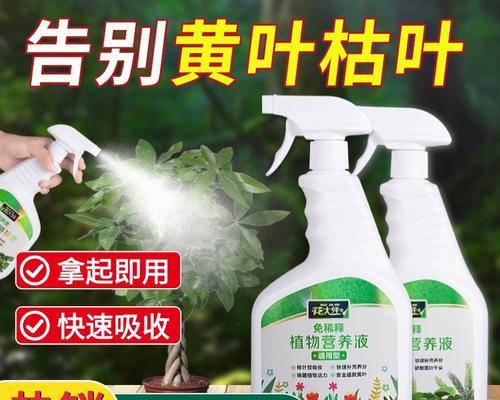 绿萝叶面喷施哪种肥料效果最佳？