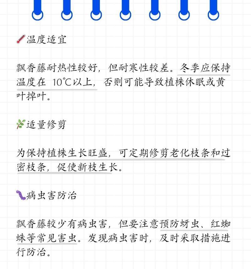 飘香藤繁殖方法有哪些？如何正确繁殖飘香藤？