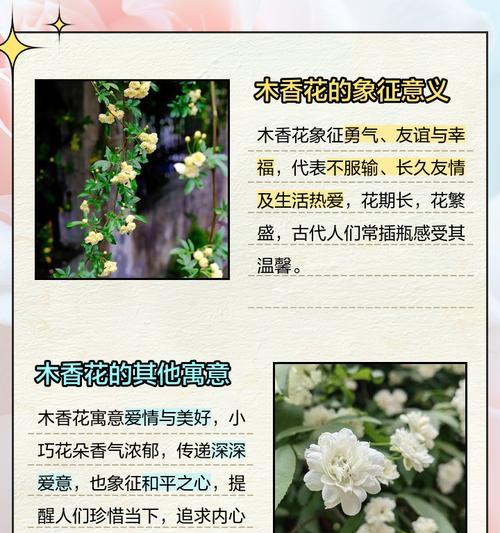 绿狐尾藻的种植方法和注意事项？