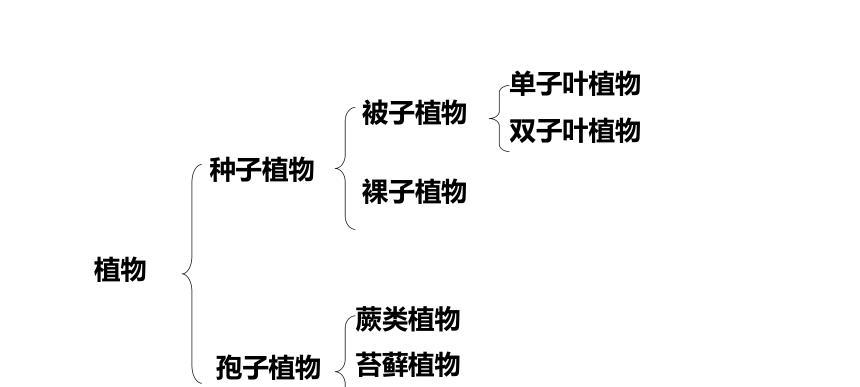 植物品种大全有哪些名称？如何分类和选择？