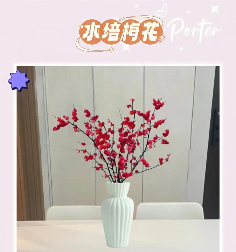 红梅怎么养才能茁壮成长？
