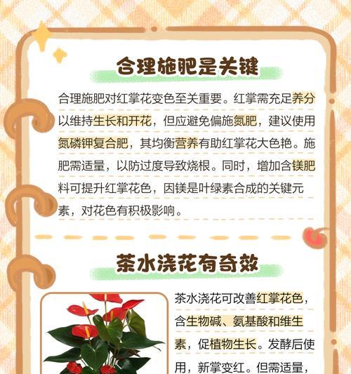 红掌颜色变淡的原因是什么？
