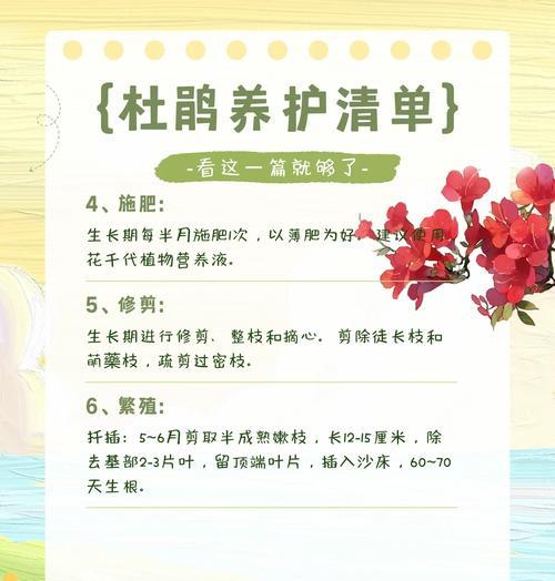 杜鹃花养护指南：如何精心照料杜鹃花使其茁壮成长？