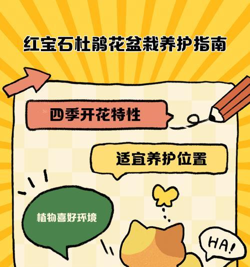 杜鹃花养护指南：如何精心照料杜鹃花使其茁壮成长？