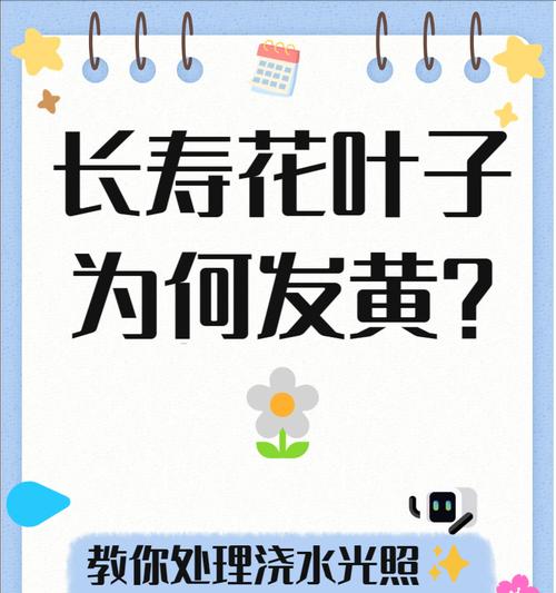 花卉叶子发黄的常见原因及解决方法？